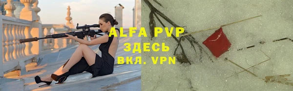 индика Алексин