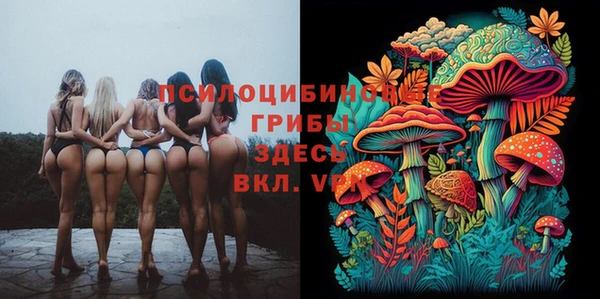 индика Алексин