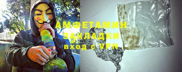 индика Алексин