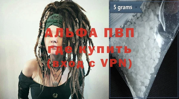 индика Алексин