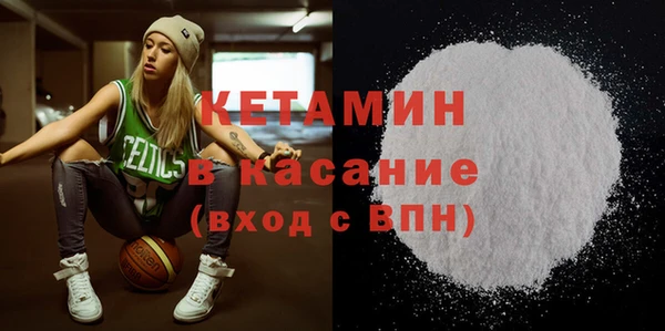 индика Алексин