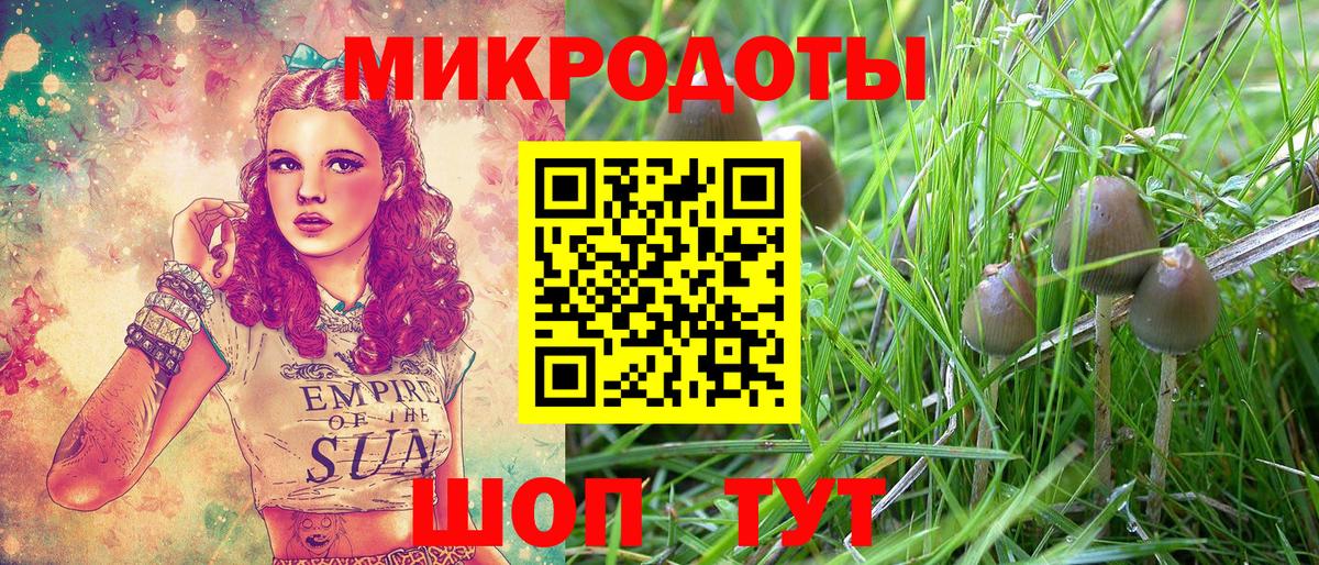 Галлюциногенные грибы GOLDEN TEACHER  Вход с VPN  где продают наркотики  Галлюциногенные грибы мухоморы  Рубцовск 